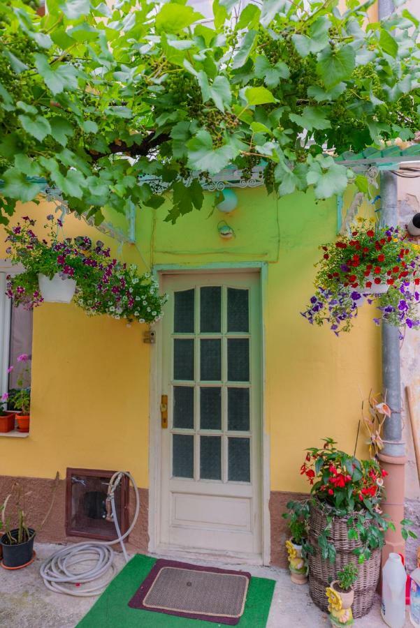 Apartmán Pine House Brašov Exteriér fotografie