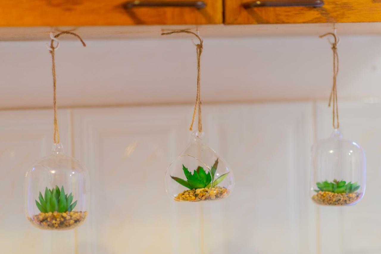 Apartmán Pine House Brašov Exteriér fotografie