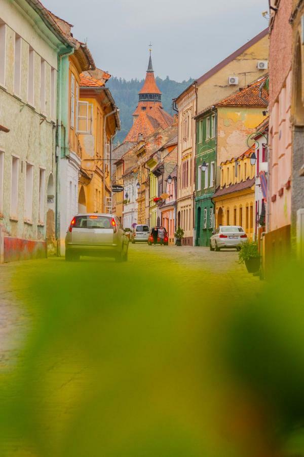 Apartmán Pine House Brašov Exteriér fotografie